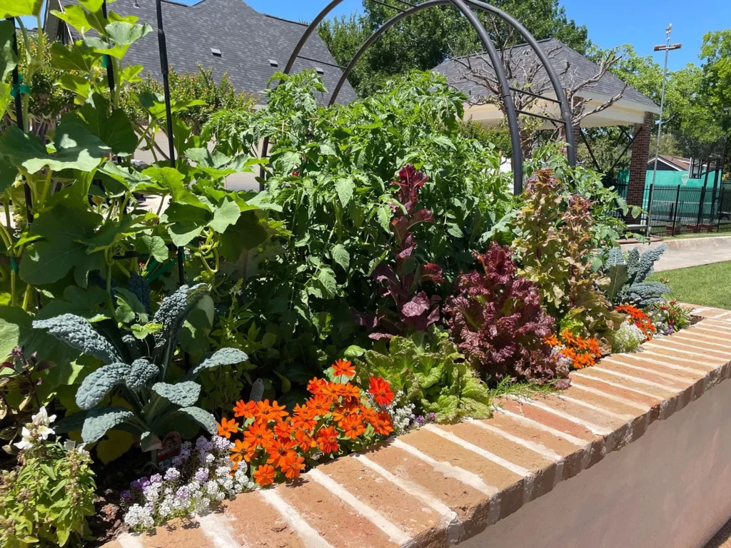 Edible Garden Design