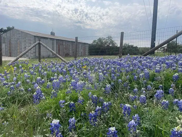 Growing Community Through Beautiful Garden Design