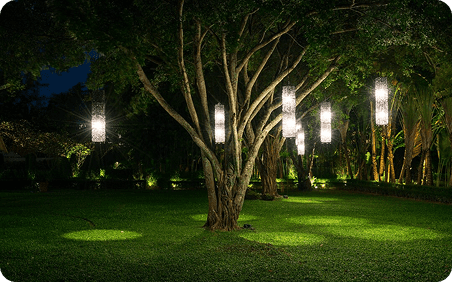 Garden Landscaping