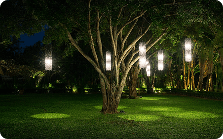 Garden Landscaping