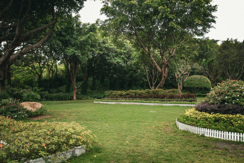 Landscape Design