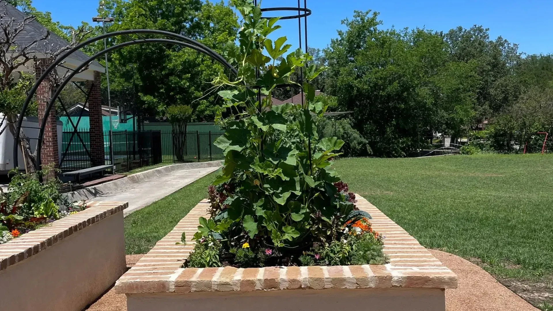 Gardening