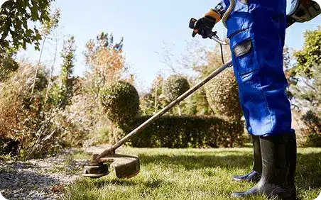 landscape design services in texas hill country