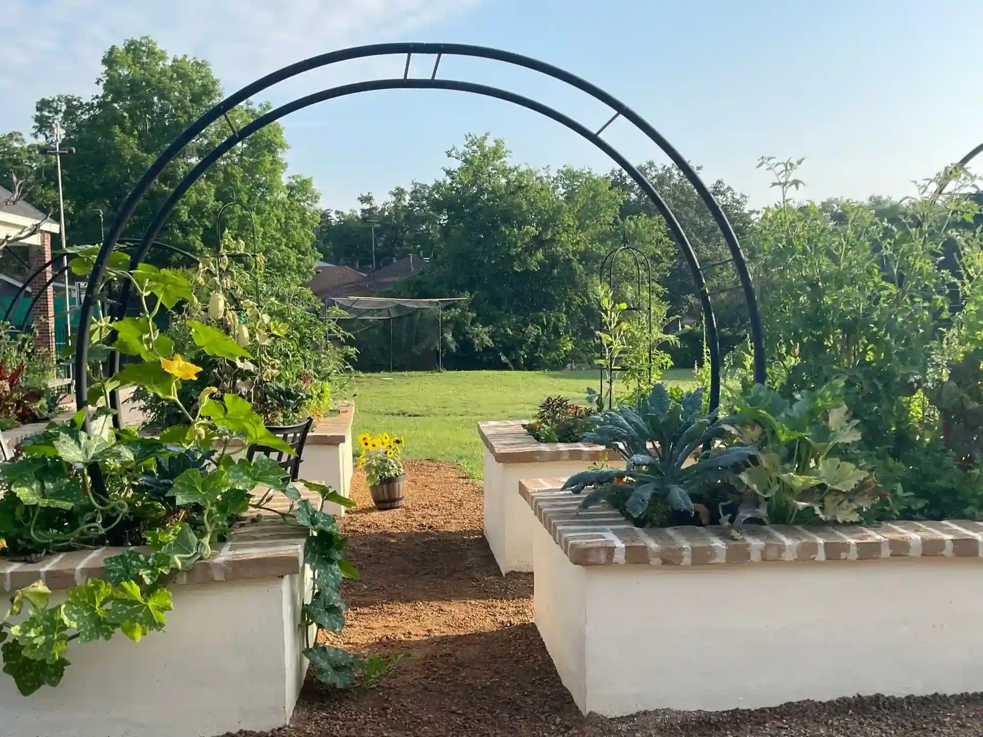 Culinary Raised Bed Gardens organic growing systems