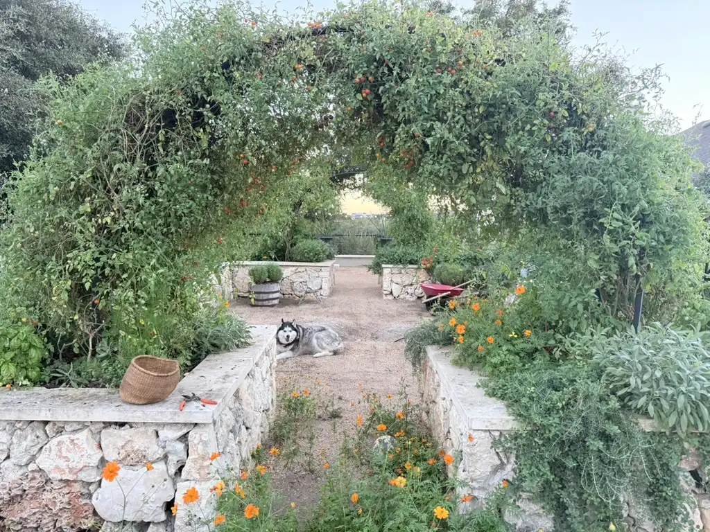 Stone hardscape patio with raised flowering garden beds and tree arbor in Bexar County, Texas